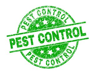 Organic Pest Control Services