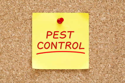 Indoor Pest Control